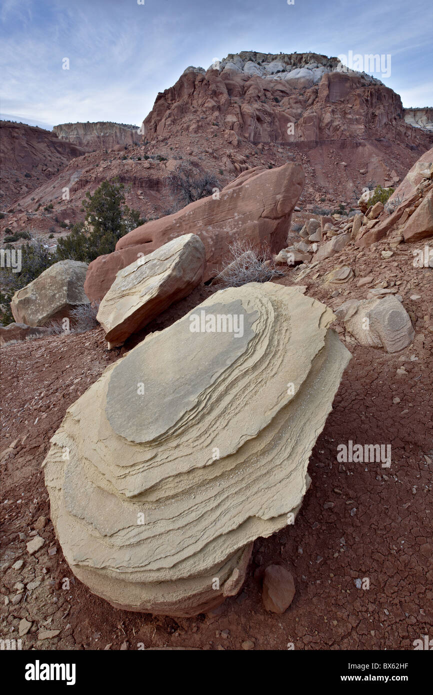 Grès ocre boulder entre roches rouges, Carson National Forest, Nouveau Mexique, États-Unis d'Amérique, Amérique du Nord Banque D'Images
