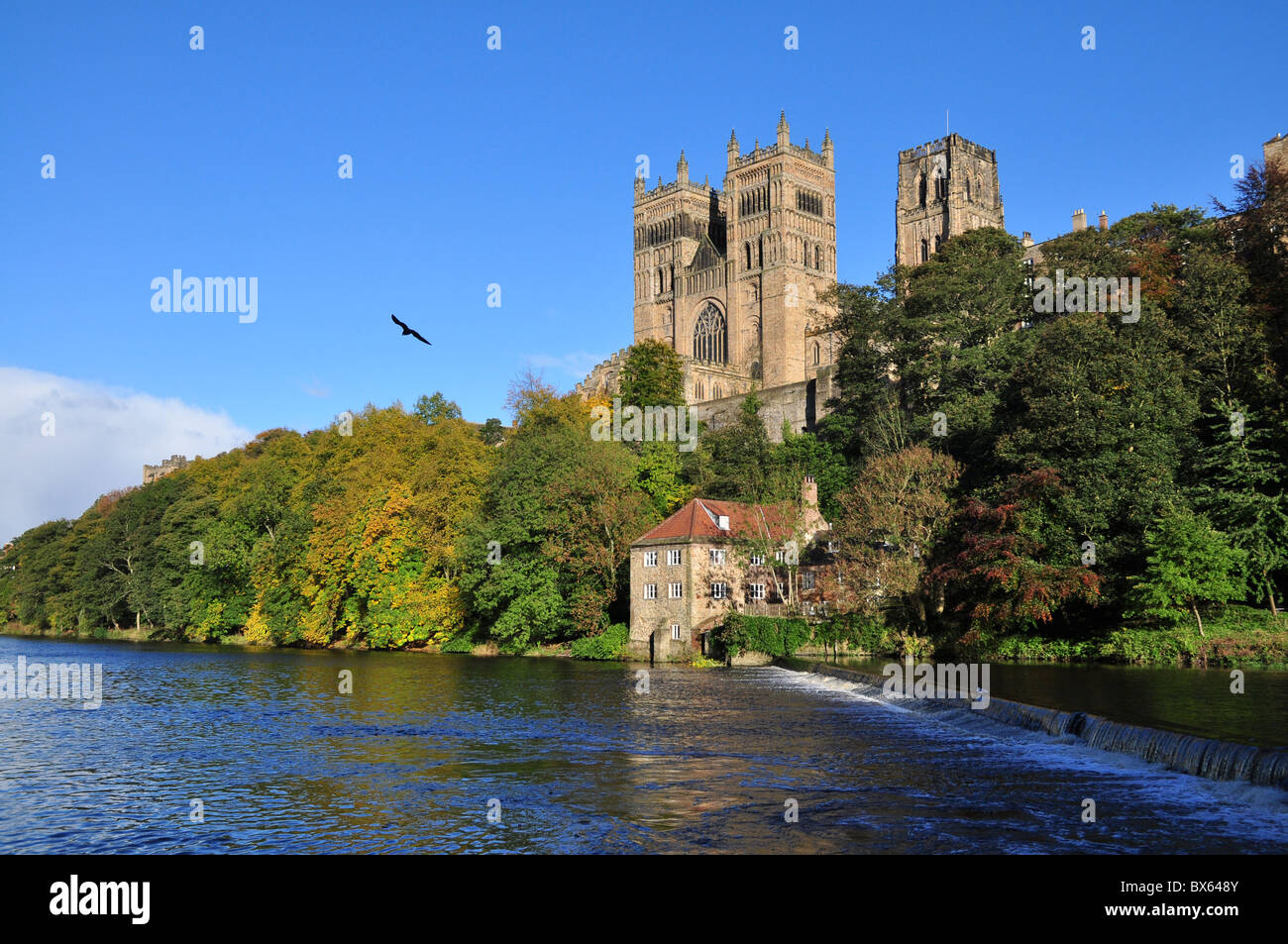 Cathédrale de Durham et l'usure de la rivière. Banque D'Images