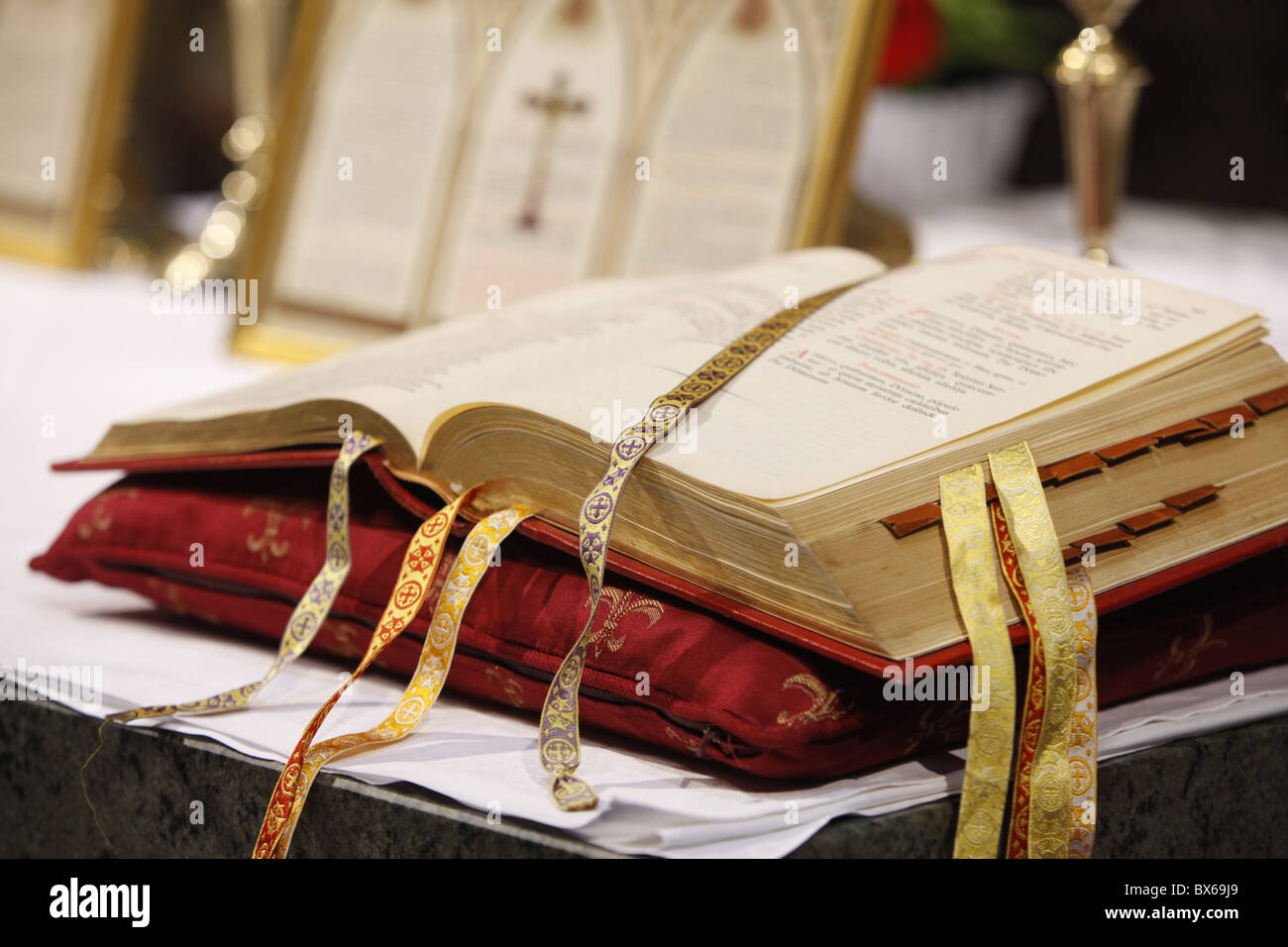 Messe dans la cathédrale de Chartres au cours du pèlerinage catholique traditionaliste, Chartres, Eure-et-Loir, France, Europe Banque D'Images