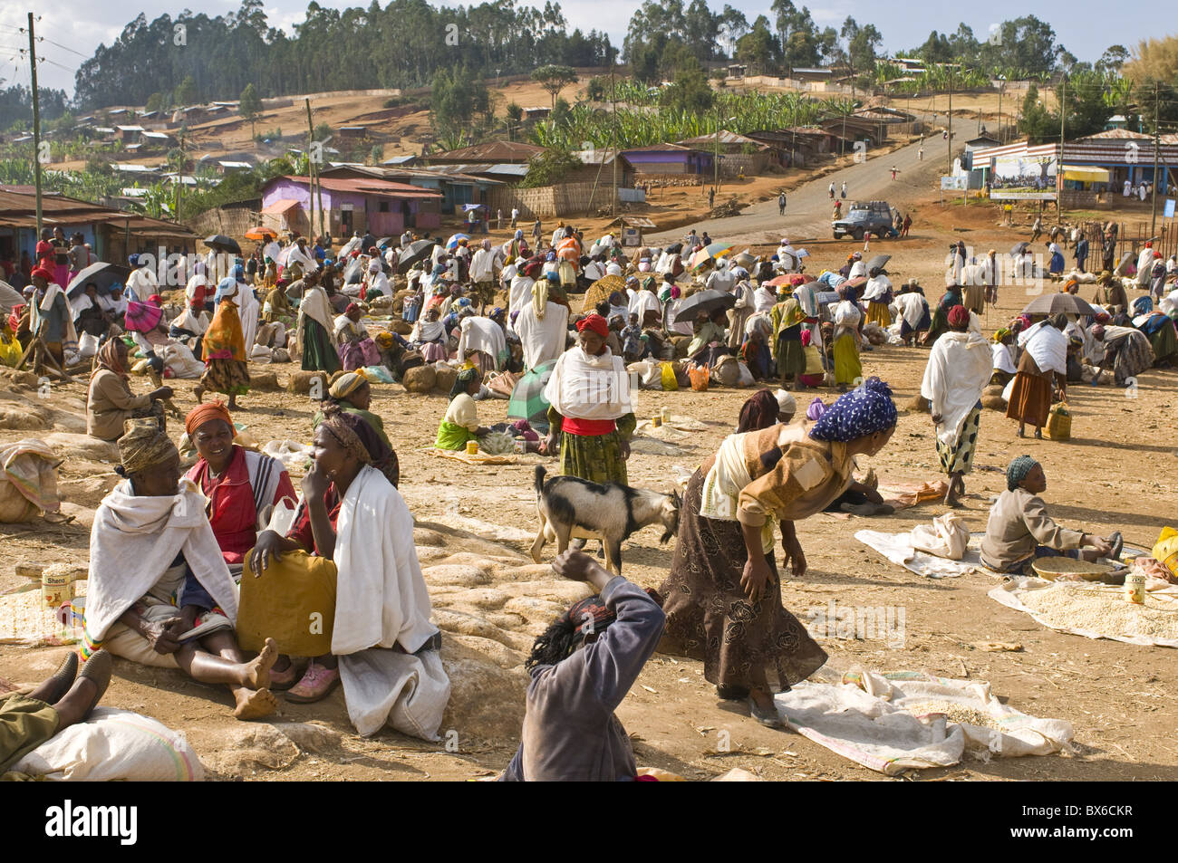Marché local dans la région de tribu Dorze, Ethiopie, Afrique Banque D'Images