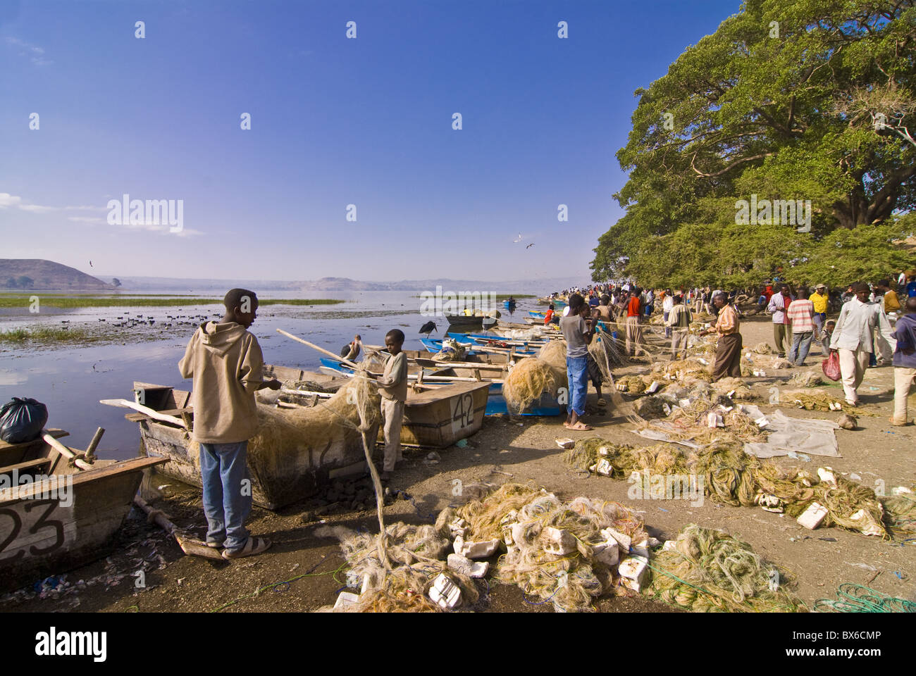 Les pêcheurs au lac Awassa, Rift Valley, l'Éthiopie, l'Afrique Banque D'Images