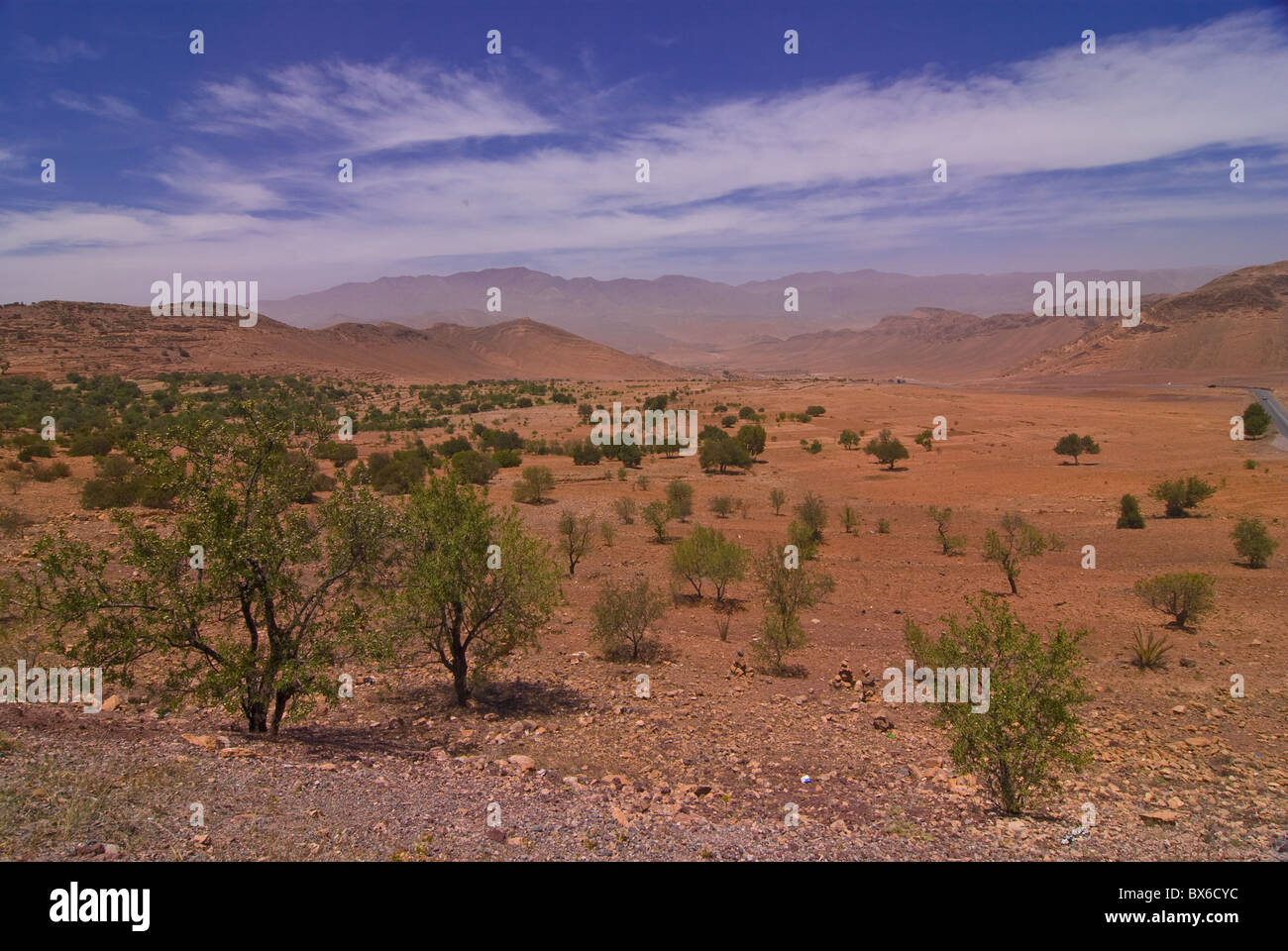 Paysage désertique près de Tafraoute, Maroc, Afrique du Nord, Afrique Banque D'Images