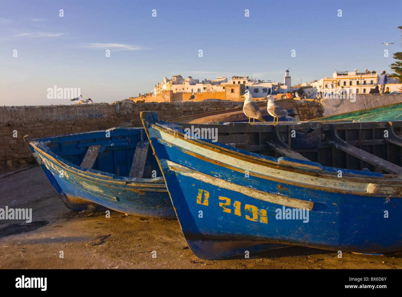 Bateaux de pêche dans la ville côtière d'Essaouira, Maroc, Afrique du Nord, Afrique Banque D'Images