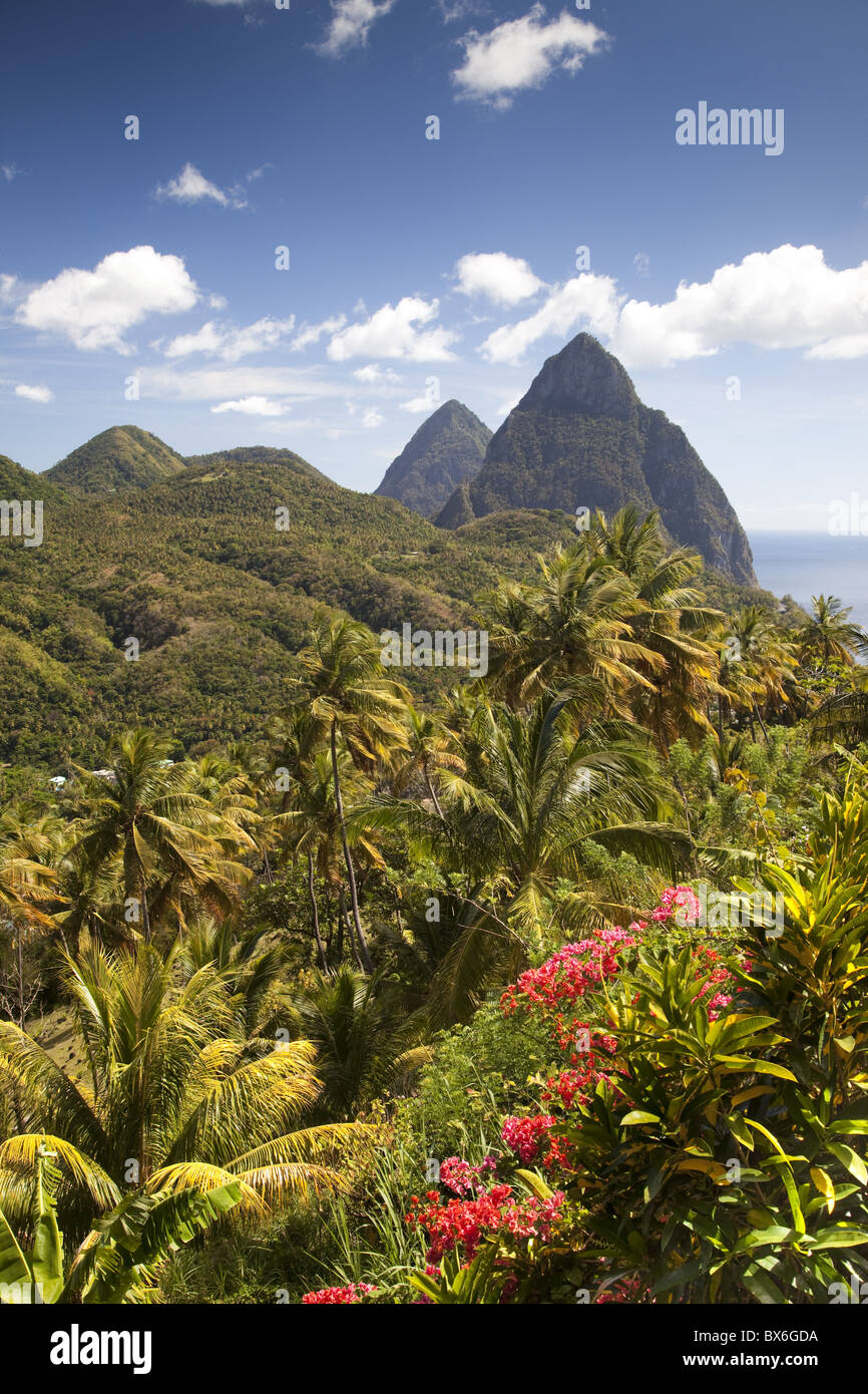 La luxuriance tropicale de l'île avec les pitons dans l'arrière de Soufrière, Sainte-Lucie, îles du Vent Banque D'Images