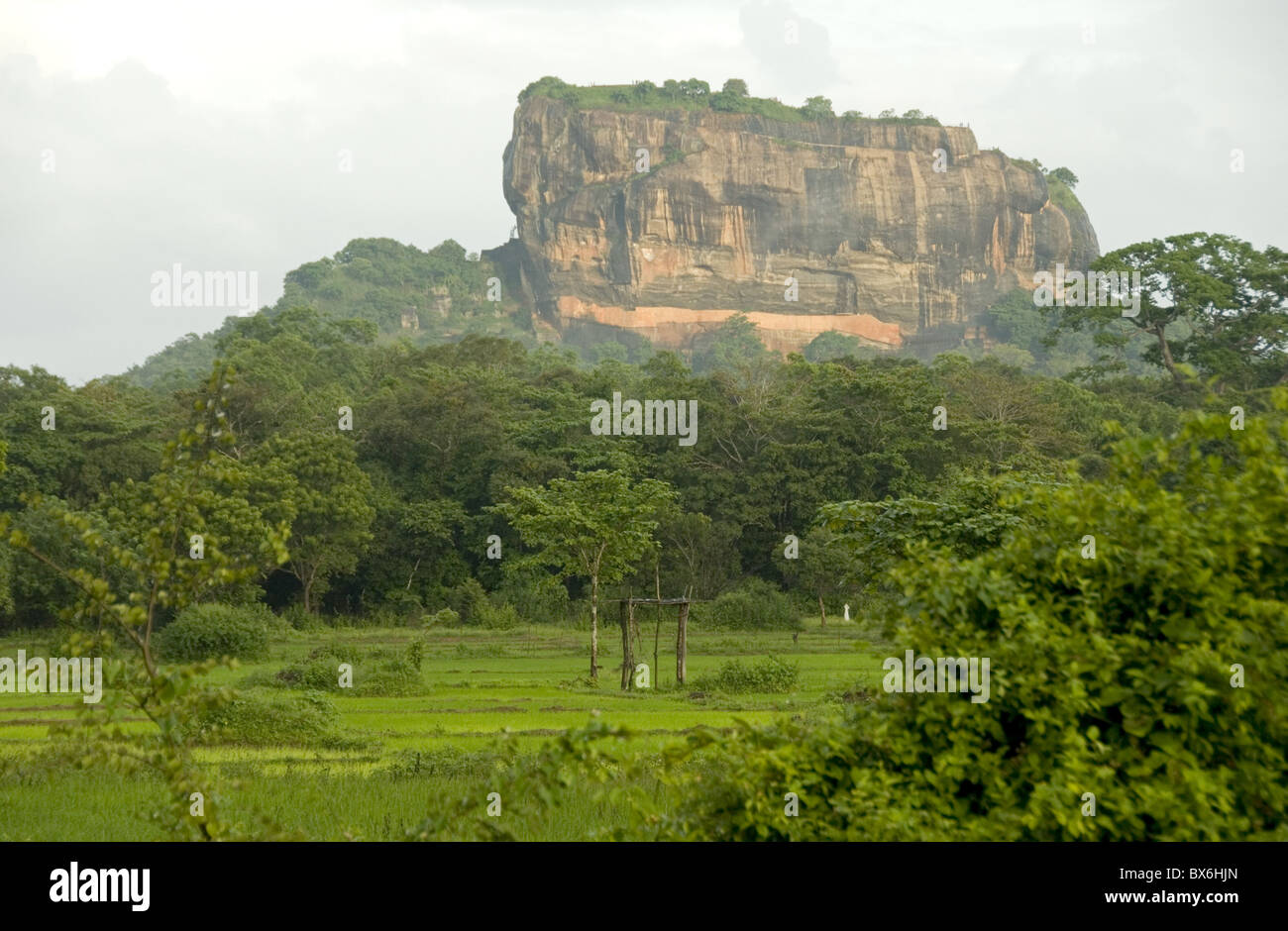Lion Sigiriya (Rock), site du patrimoine mondial de l'UNESCO, le centre du Sri Lanka, en Asie Banque D'Images