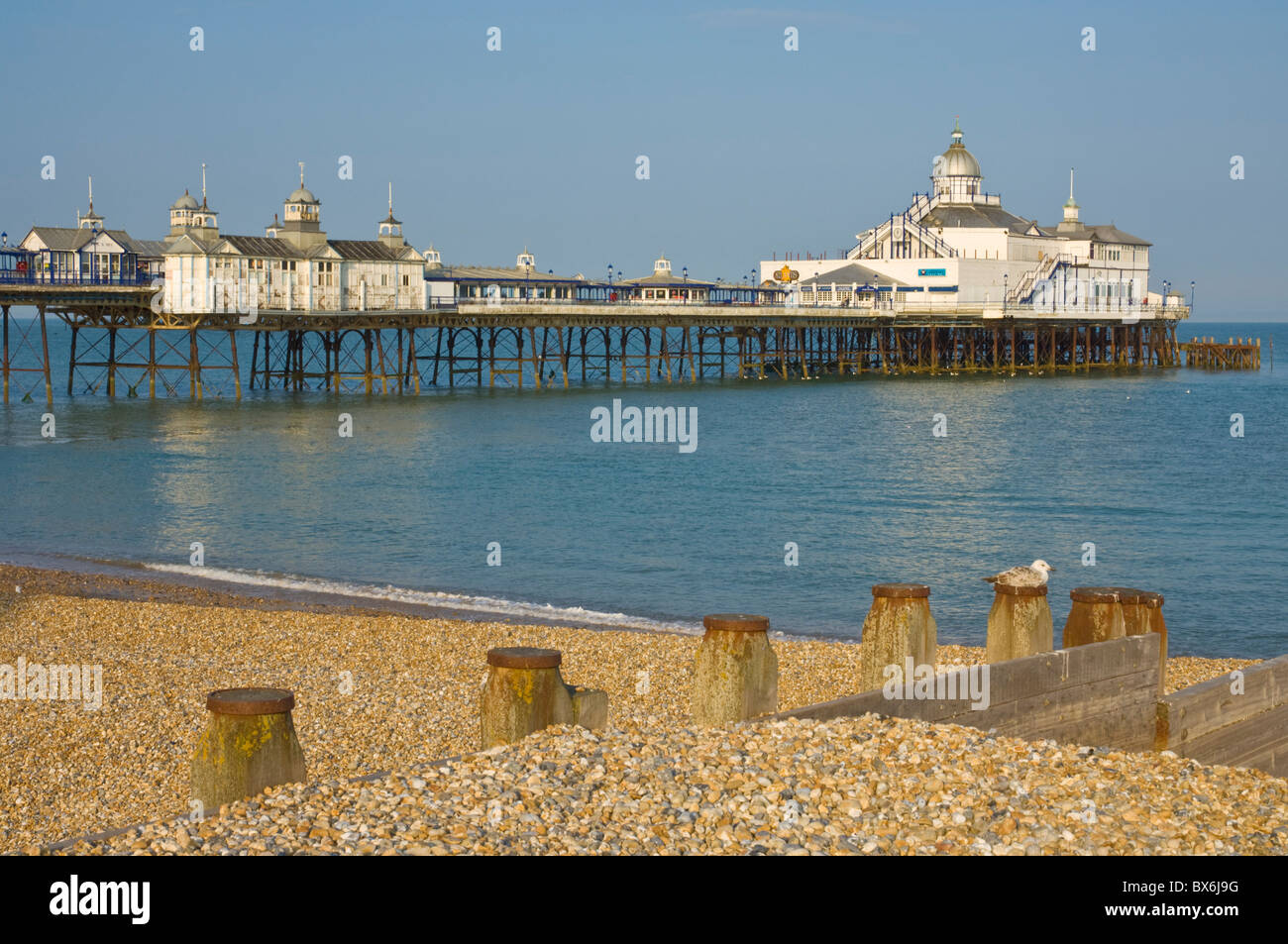 Eastbourne Pier, plage et épis, Eastbourne, East Sussex, Angleterre, Royaume-Uni, Europe Banque D'Images