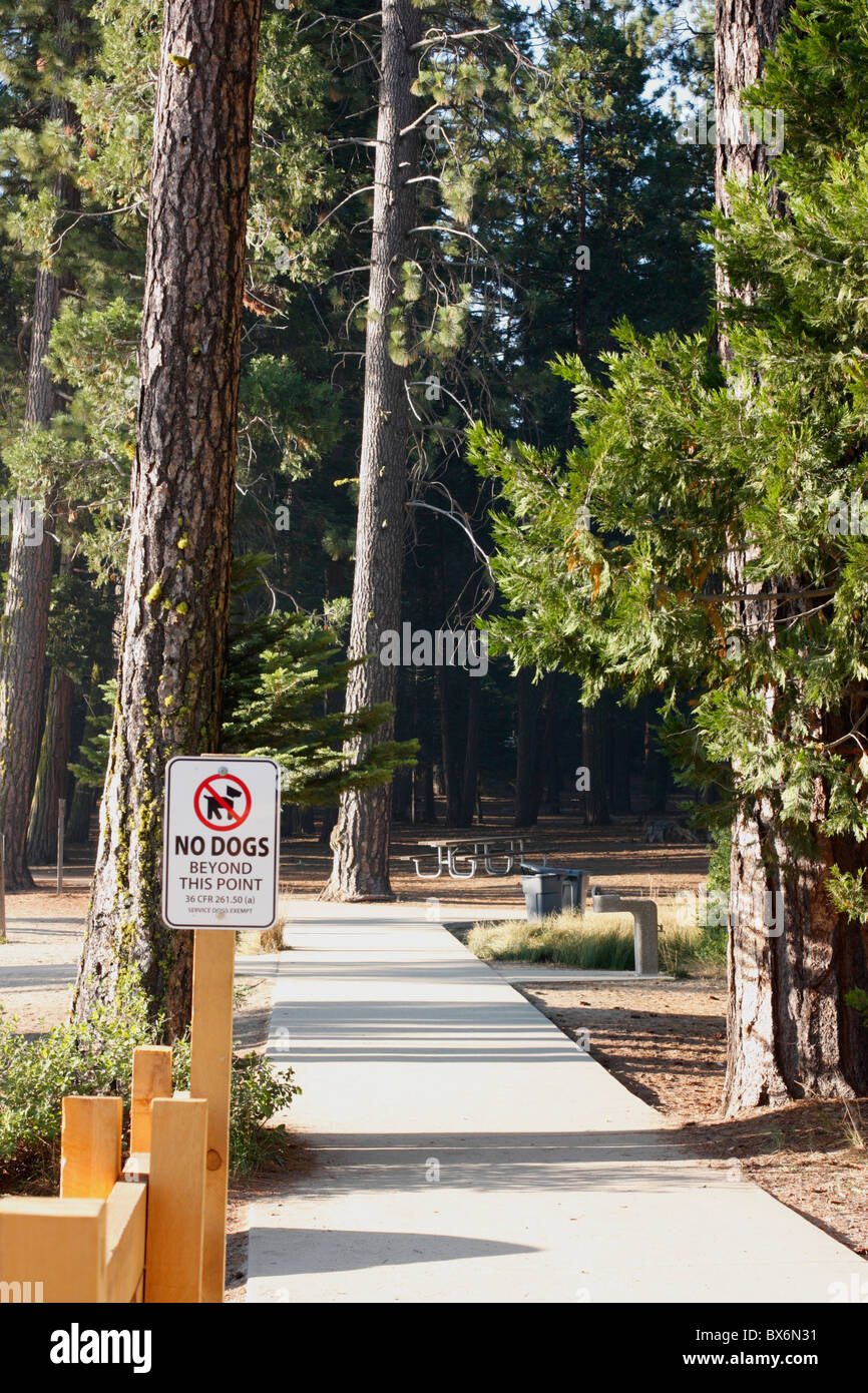 Les chiens ne sont pas un signe à Pinecrest Lake, Tuolumne County, Californie, forêt nationale Stanislaus Banque D'Images