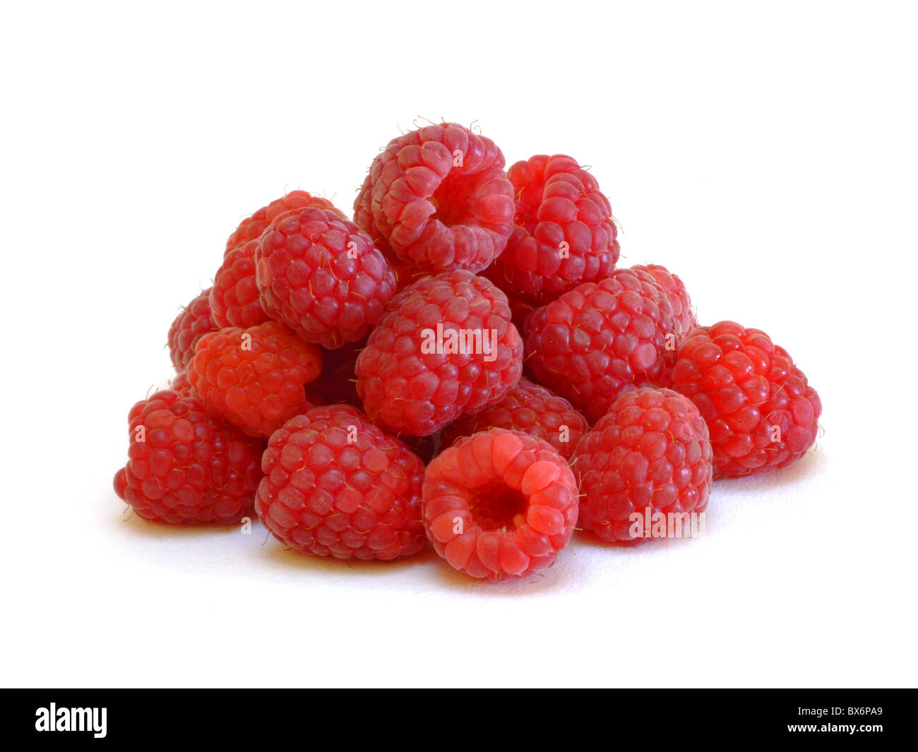 Himbeeren / framboises (Rubus idaeus) Banque D'Images