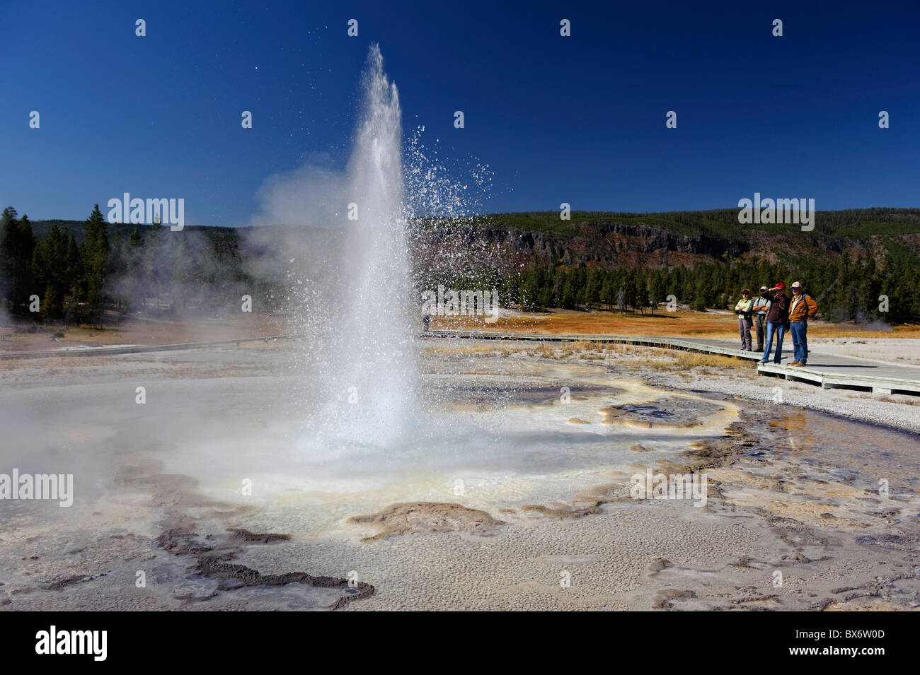 Scierie geyser, le Parc National de Yellowstone, Wyoming, USA Banque D'Images