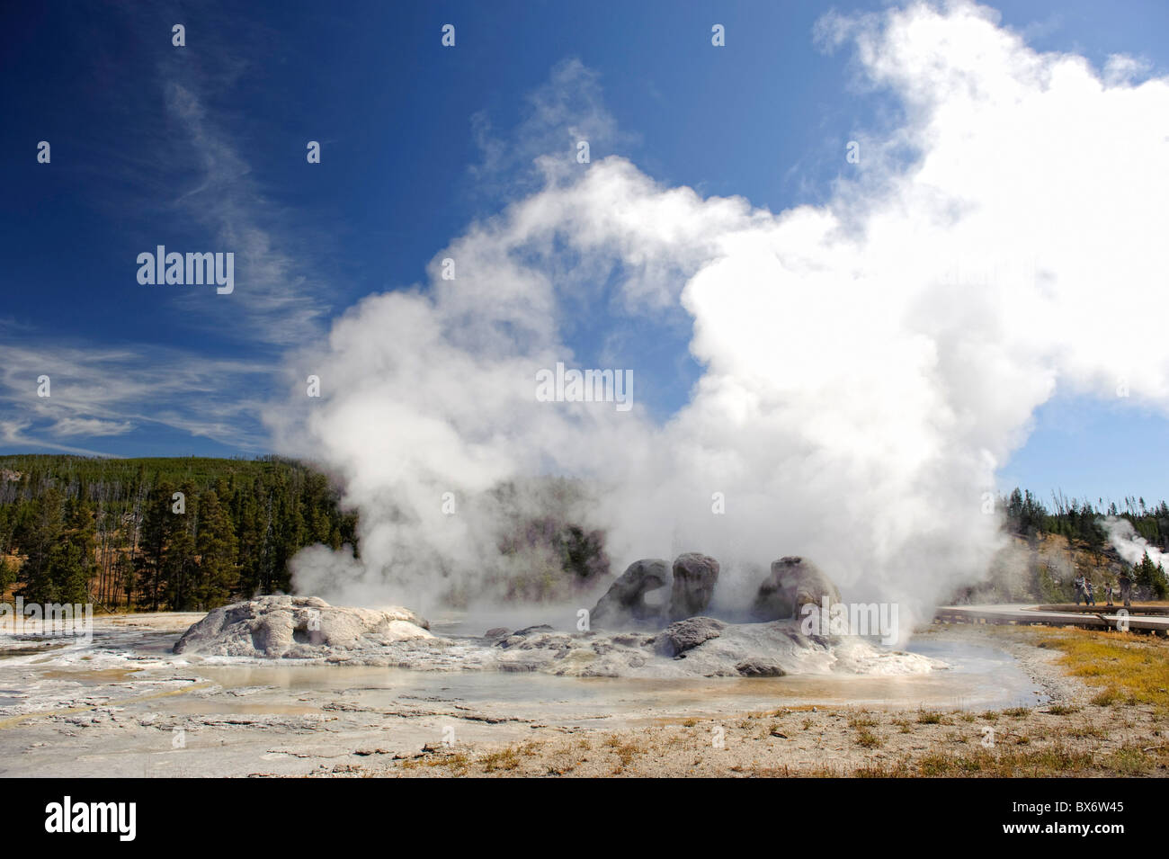 Grotto geyser, le Parc National de Yellowstone, Wyoming, USA Banque D'Images
