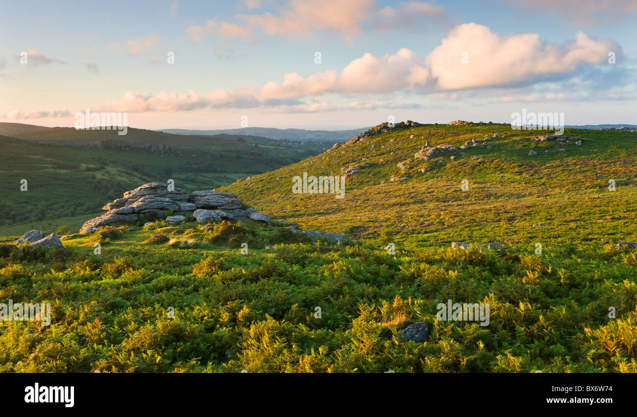 La recherche à travers la Grande Lande couverte de Holwell Tor, Dartmoor National Park, Devon, Angleterre. L'été (août) 2010. Banque D'Images