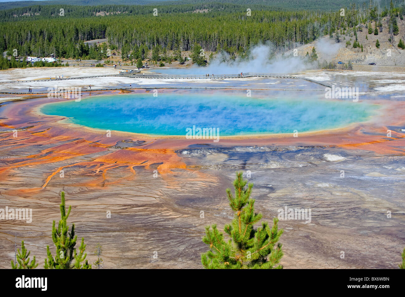 Grand Prismatic Spring (troisième plus grand bassin thermal), Parc National de Yellowstone, Wyoming, USA Banque D'Images