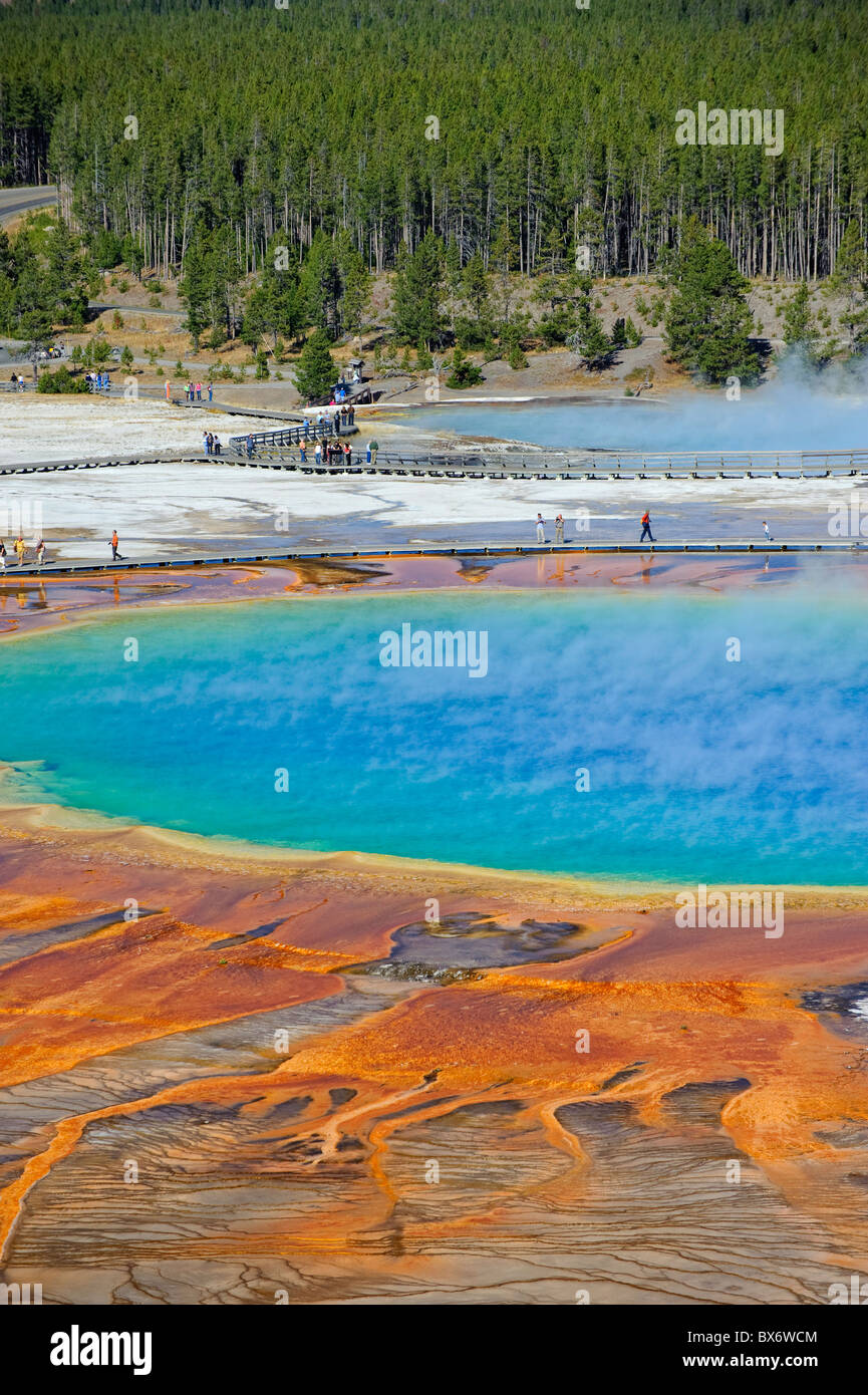 Grand Prismatic Spring (troisième plus grand bassin thermal), Parc National de Yellowstone, Wyoming, USA Banque D'Images