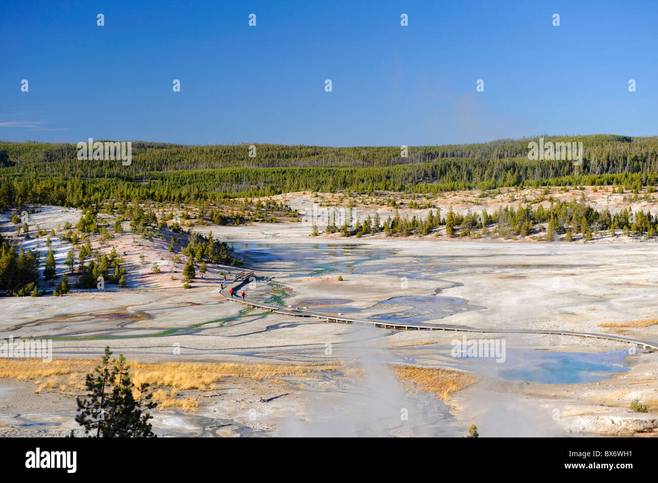 Norris Geyser Basin, Parc National de Yellowstone, Wyoming, USA Banque D'Images