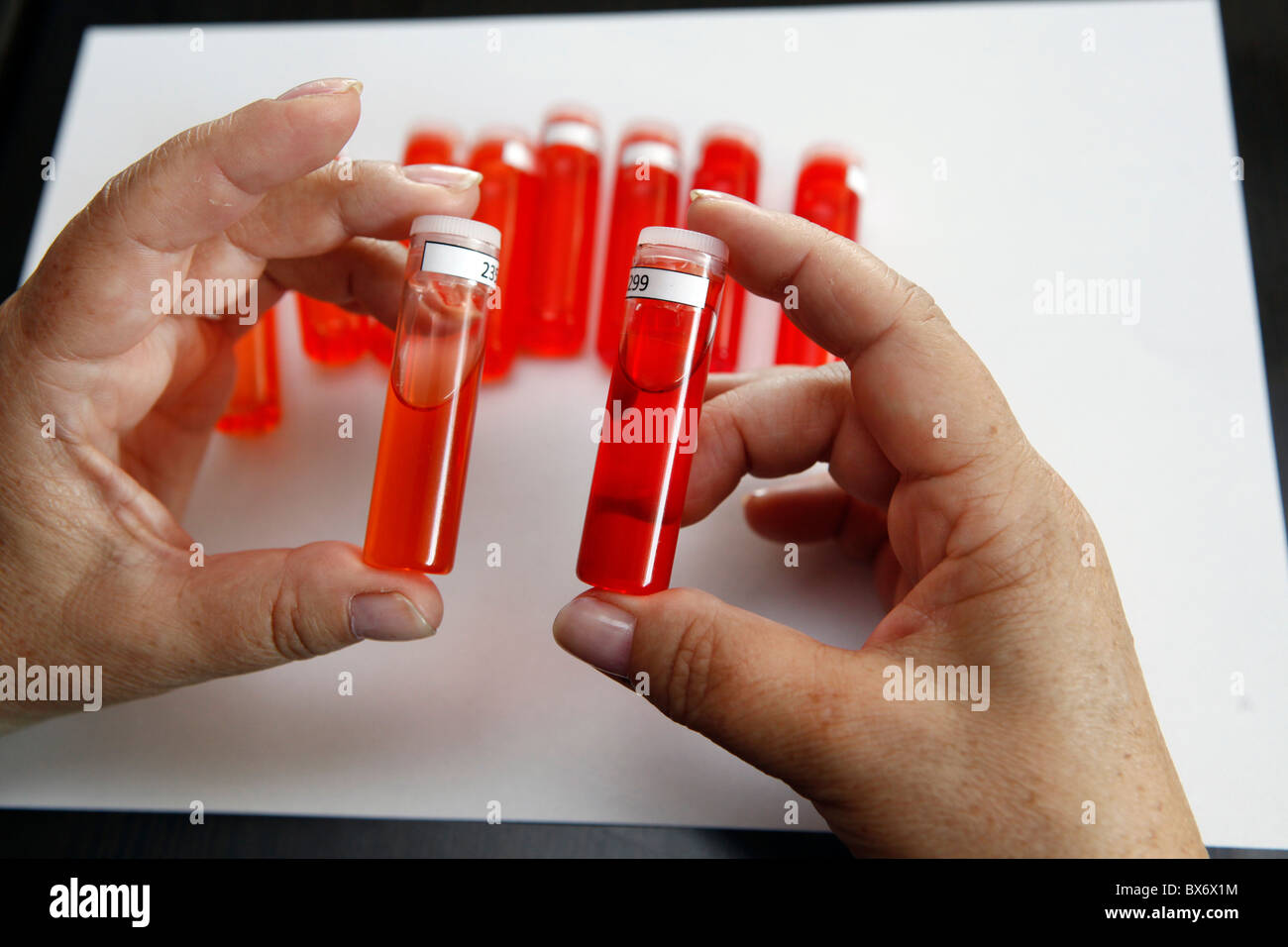 Tubes à essai, test, échantillon de verre, rouge, jaune liquide. (CTK Photo/Rene Fluger) Banque D'Images