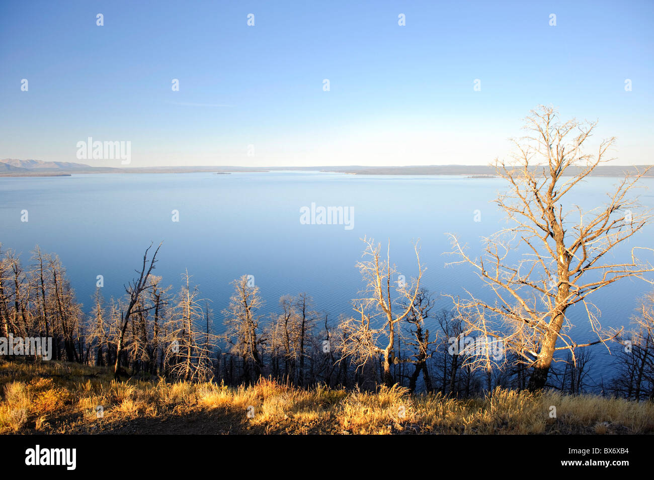 Le Lac Yellowstone, le Parc National de Yellowstone, Wyoming, USA Banque D'Images