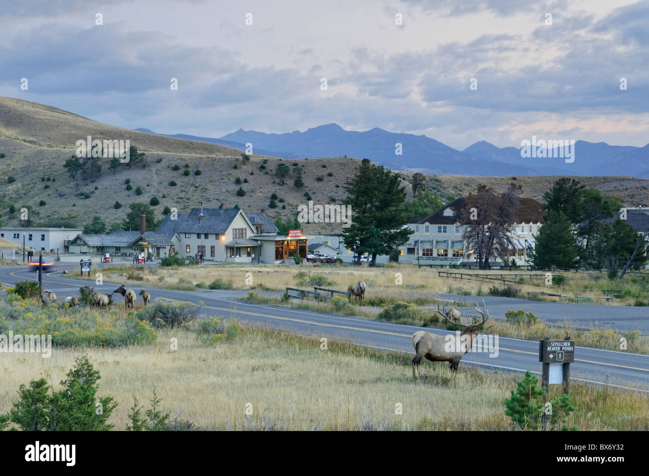 Mammoth Hot Springs Village and Resort, le Parc National de Yellowstone, Wyoming, USA Banque D'Images