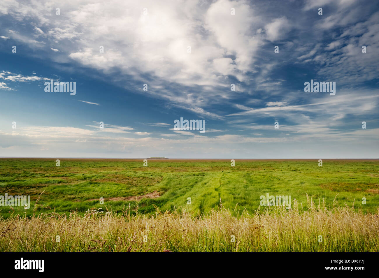 Saltmarsh au lavage, près de Sutton Bridge, Lincolnshire, Angleterre Banque D'Images