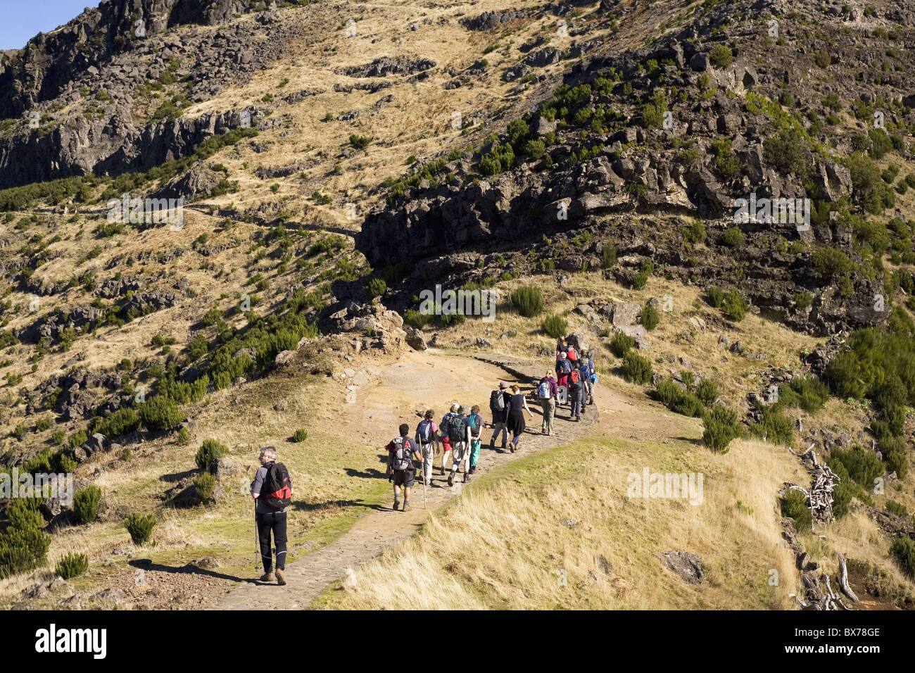 Les marcheurs de croisière sur un sentier marqué sur le Pico Ruivo, sur l'île de Madère, Portugal, Europe Banque D'Images