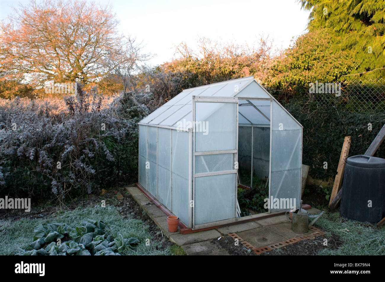 Frost couverts en hiver serre Banque D'Images