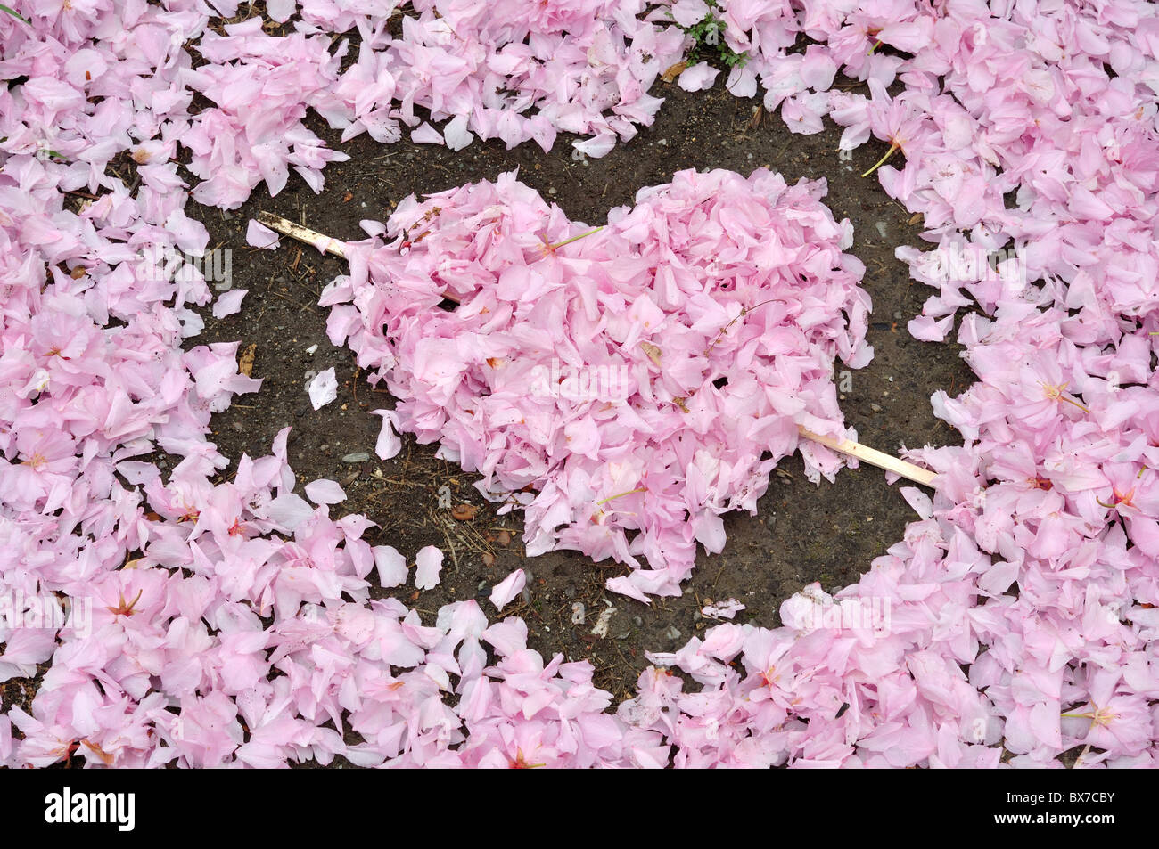 Un coeur en fleurs tombées dans parc de la ville de Skopje Banque D'Images