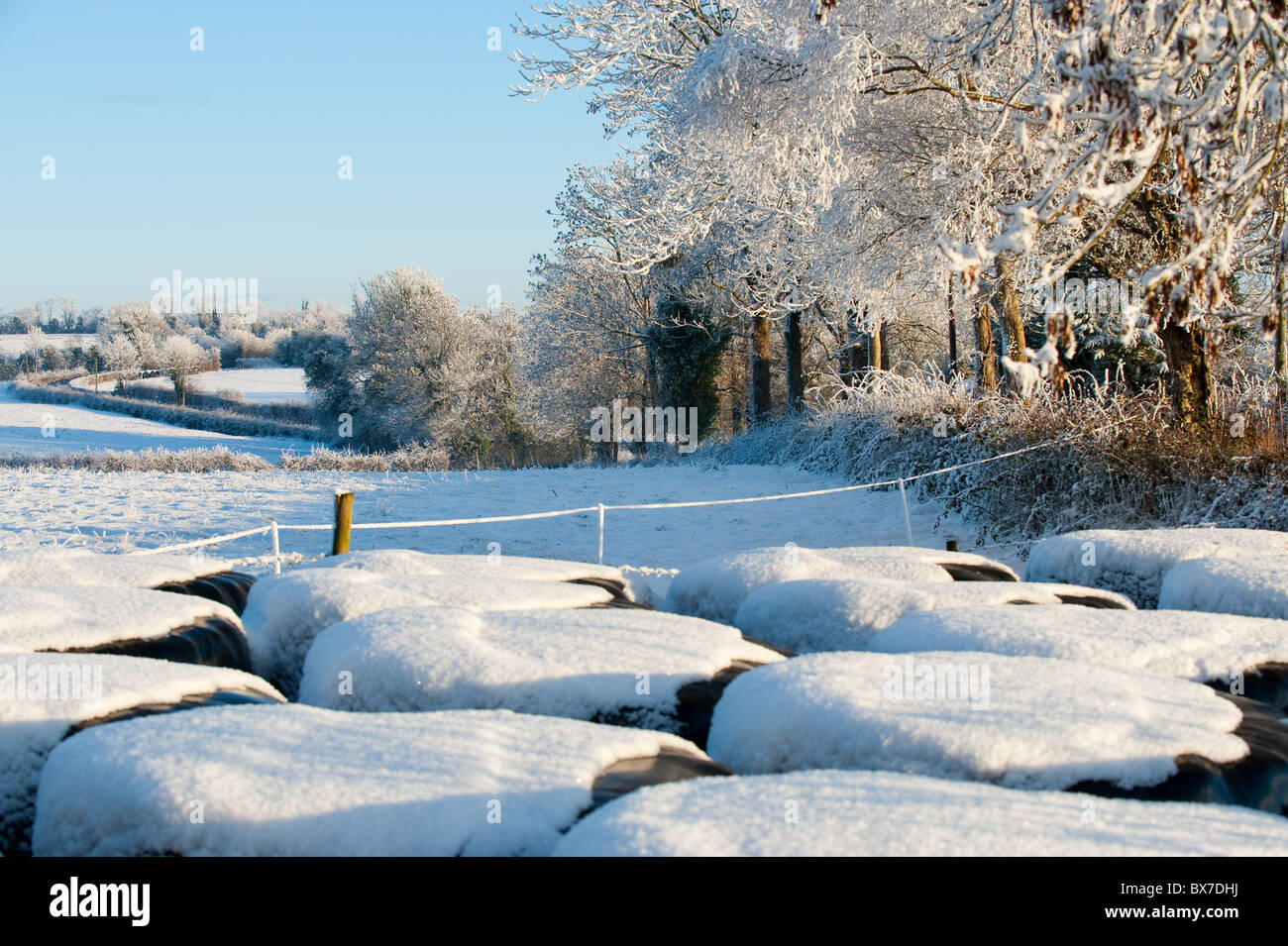 Couvert de paille dans une couche de neige fraîche sur une journée ensoleillée winters Banque D'Images