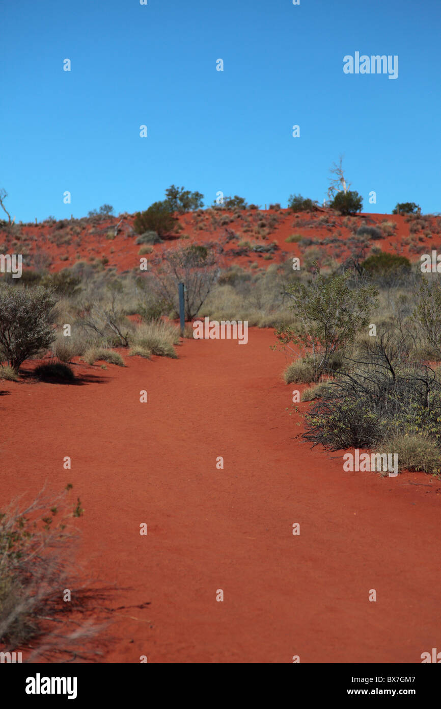 Paysage désertique de l'Australie centrale Banque D'Images