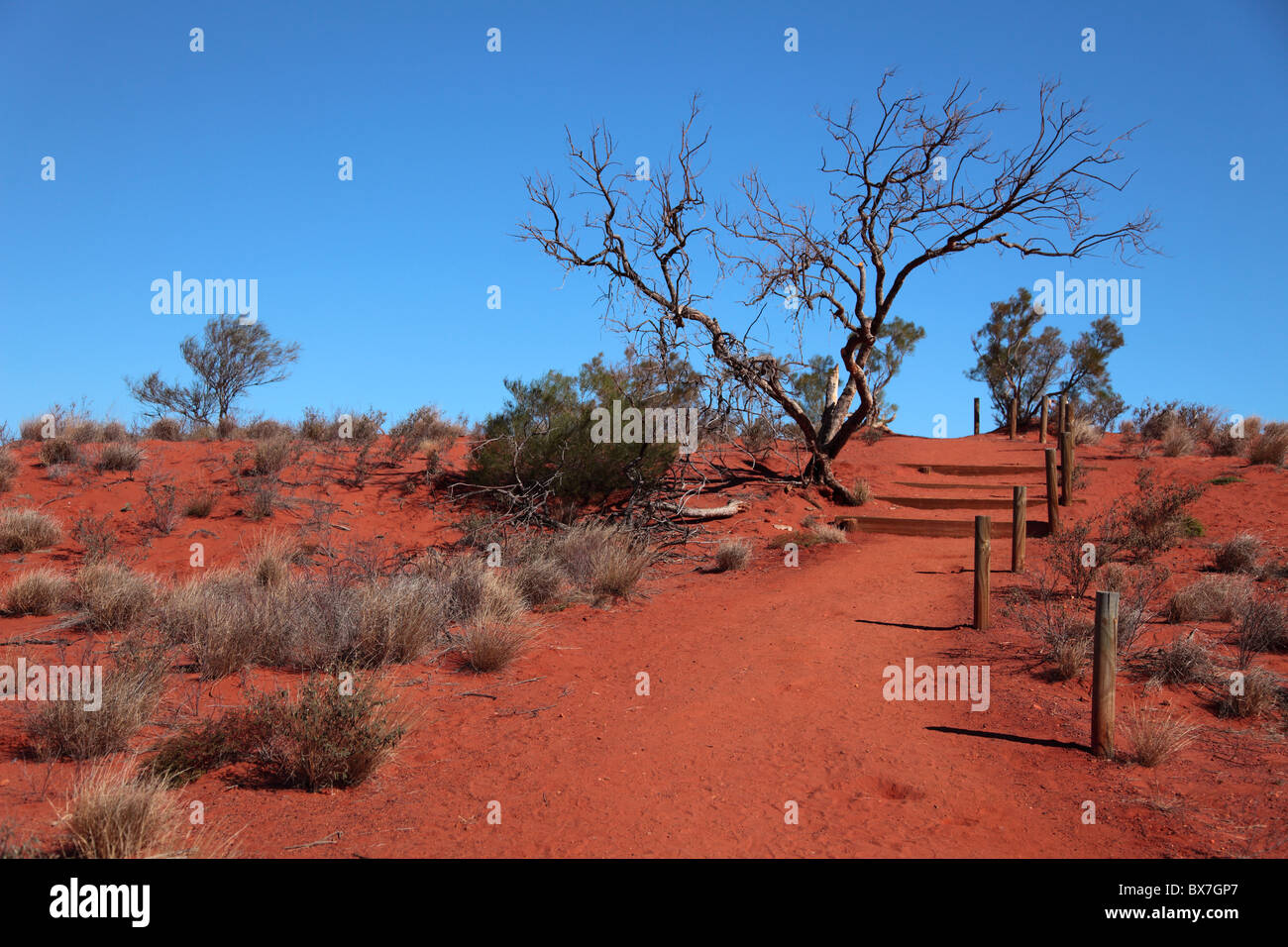 Sentier solitaire à travers le désert de sable rouge typique de l'Australie centrale. Banque D'Images Sentier solitaire à travers le désert de sable rouge typique de l'Australie centrale. Banque D'Images