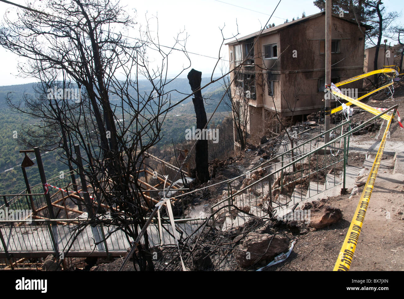 Ce feu dans les forêts du Mont Carmel a eu lieu entre le 2 au 5 décembre 2010. C'était le pire incendie de l'histoire d'Israël Banque D'Images