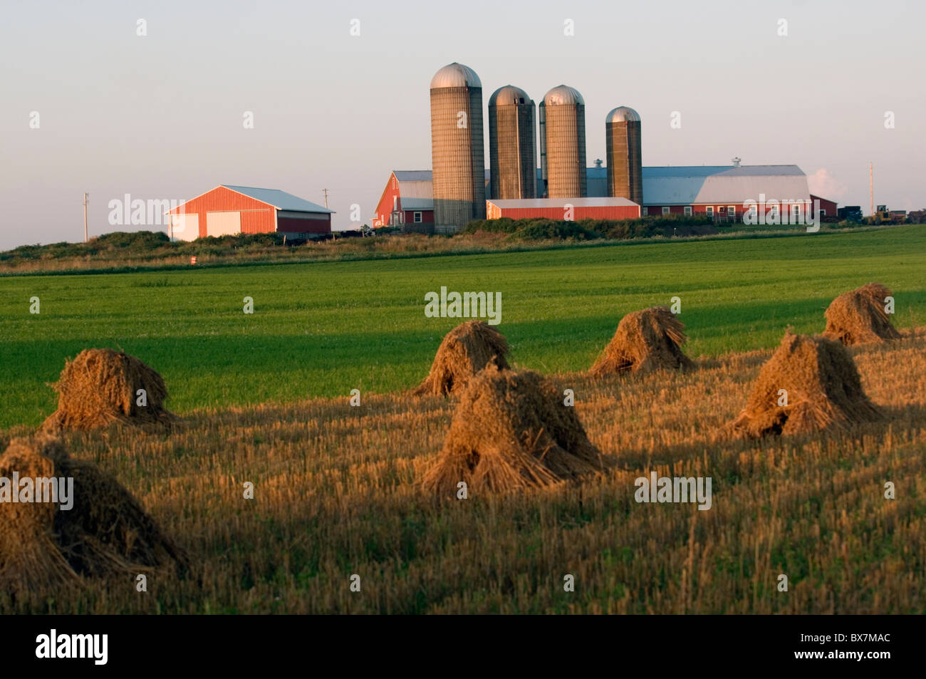 Photo panoramique hay field avec grange et silos en arrière-plan Banque D'Images