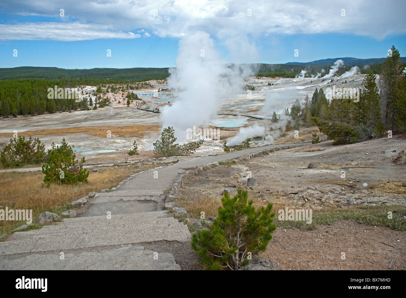 Old Faithful Banque D'Images
