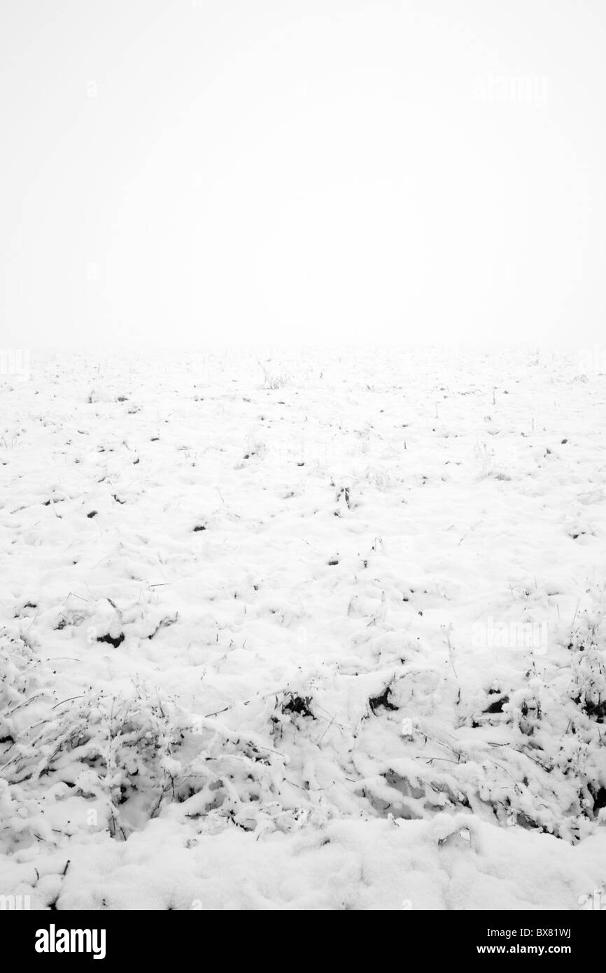 Domaine couvert par la neige sur un jour d'hiver brumeux Banque D'Images
