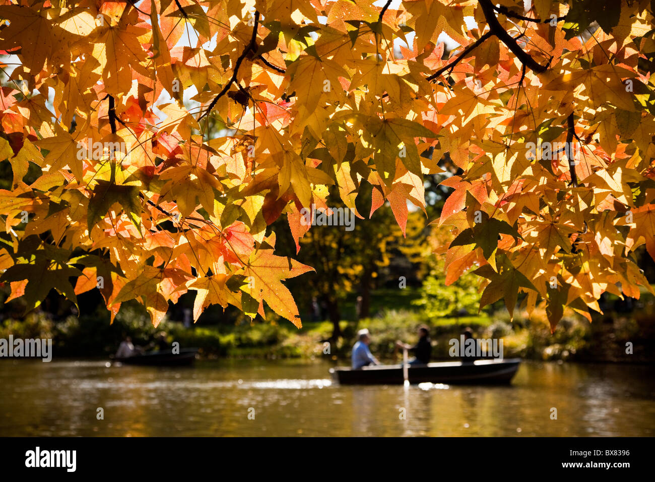Navigation de plaisance sur le lac de barques dans Central Park en automne dans la ville de New York. Banque D'Images