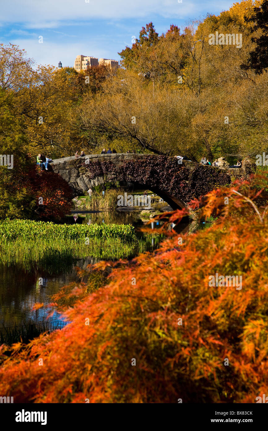Couleurs d'automne Gapstow bridge dans Central Park à New York. Banque D'Images