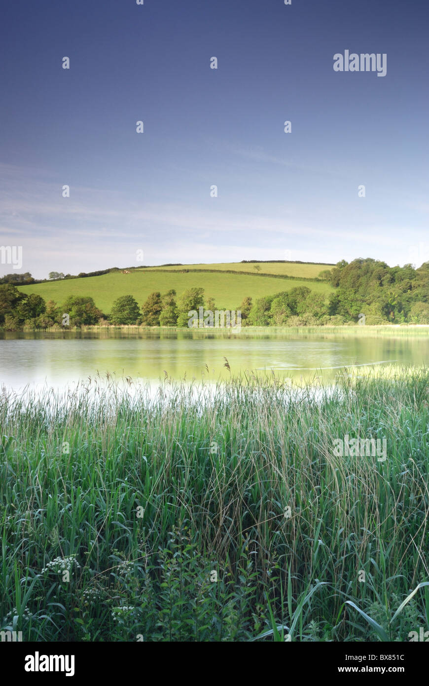 Lieu non identifié Ley lagune, près de Torcross, Devon Banque D'Images