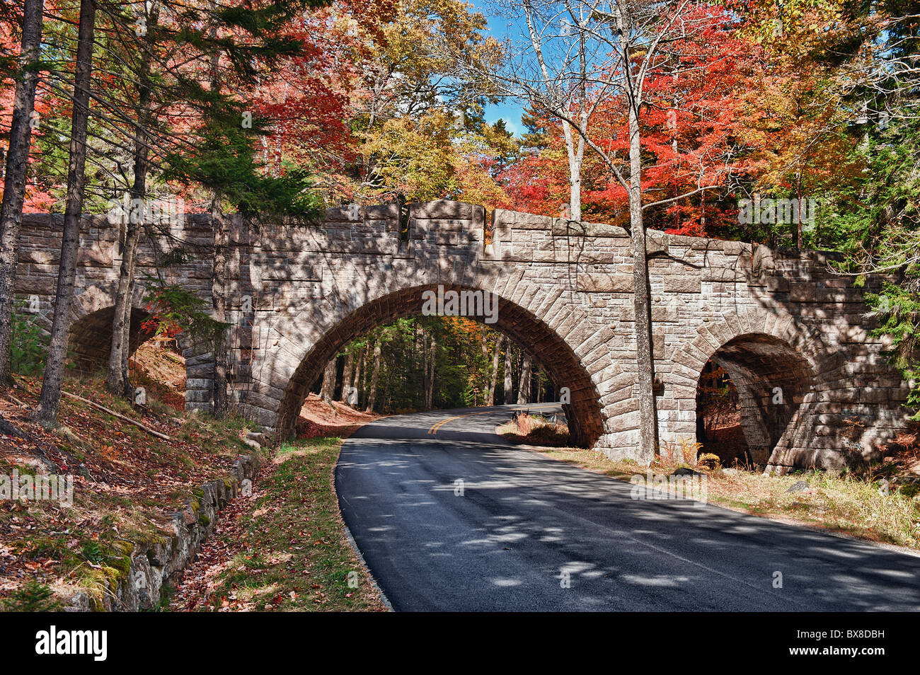 Route à travers l'Acadie NP, Maine, États-Unis Banque D'Images