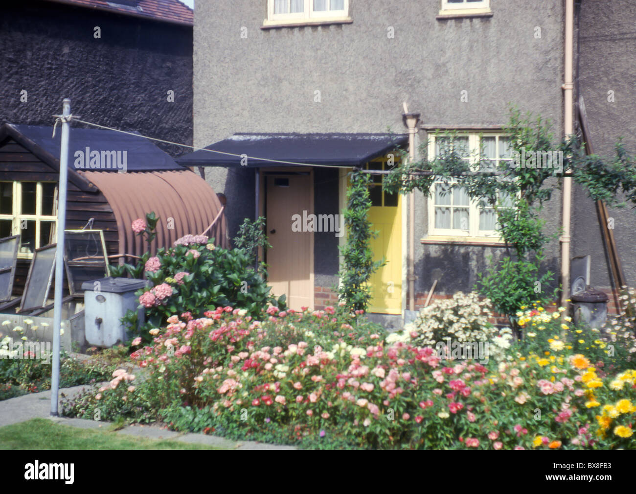 Une image originale des années 1960 montrant une maison jumelée avec un abri Anderson fait maison convertie en un abri de jardin. Banque D'Images