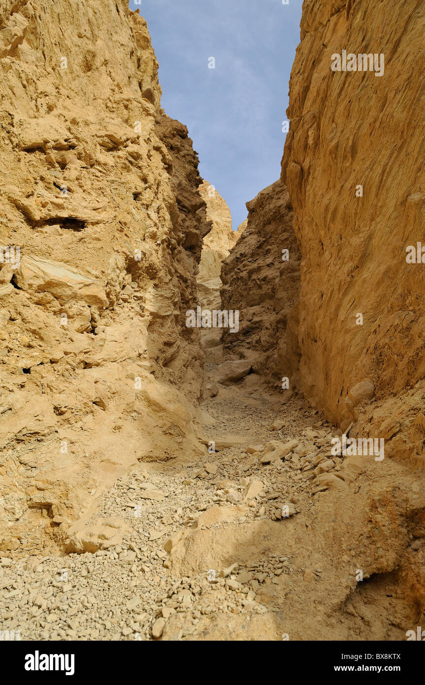 Golden Canyon Trail menant à Zabriskie Point via Gower Gulch. Death Valley National Park Banque D'Images