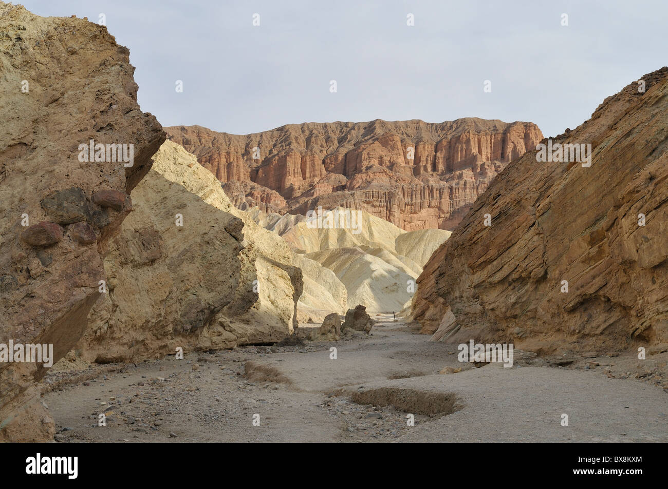 Golden Canyon Trail menant à Zabriskie Point via Gower Gulch. Death Valley National Park Banque D'Images