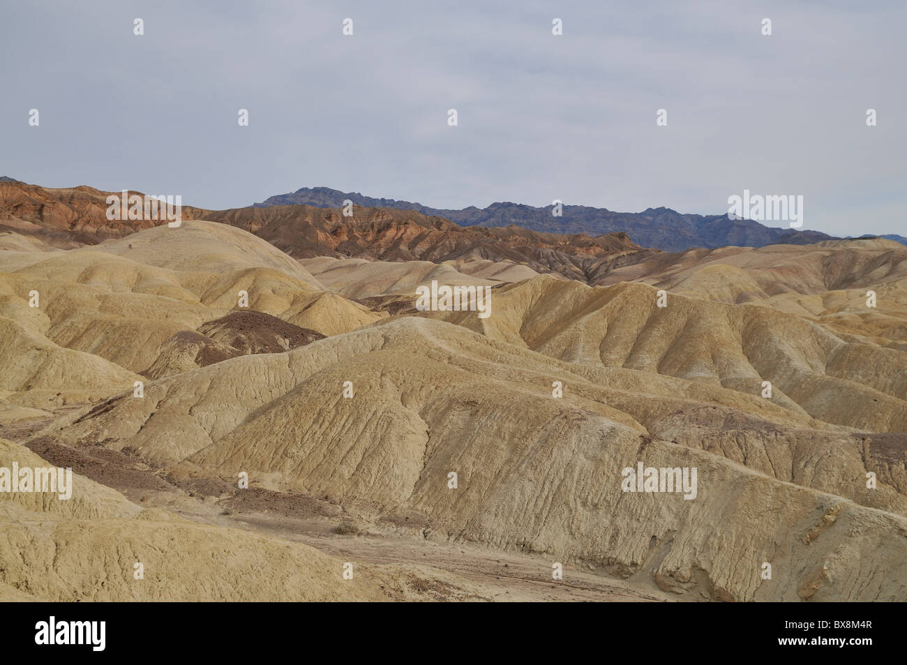 Golden Canyon Trail menant à Zabriskie Point via Gower Gulch. Death Valley National Park Banque D'Images