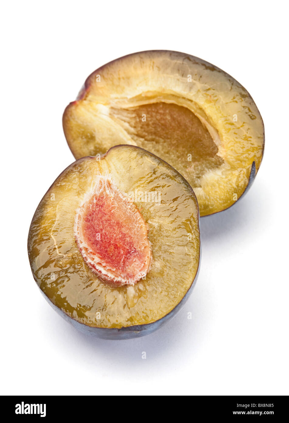 Prune bleue Banque D'Images