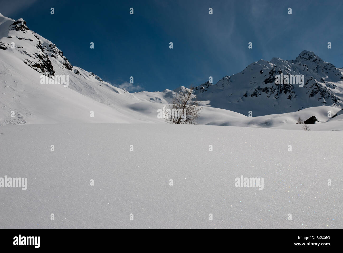 Zoom sur la neige à Livigno, Alpes Italiennes Banque D'Images