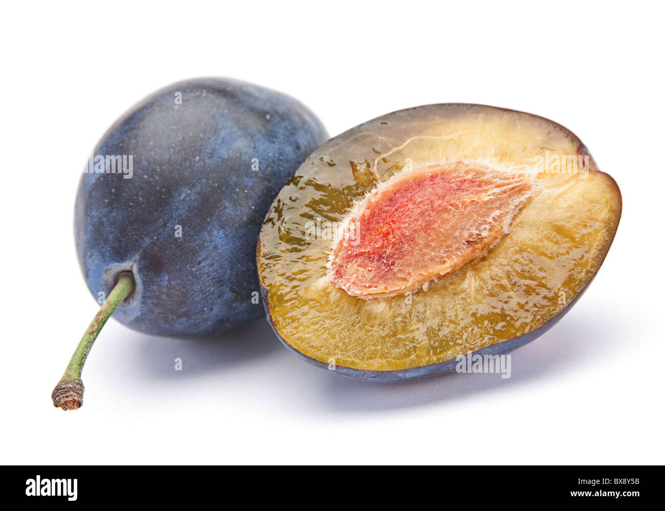 Prune bleue Banque D'Images