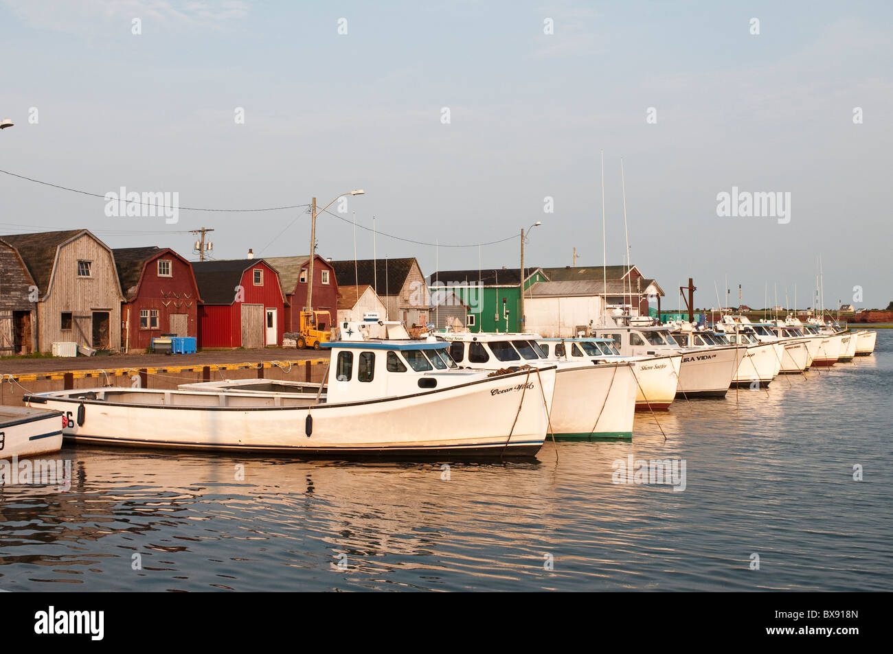 Bateaux de pêche, port de Malpeque, Île-du-Prince-Édouard, Maritimes, canada. Banque D'Images