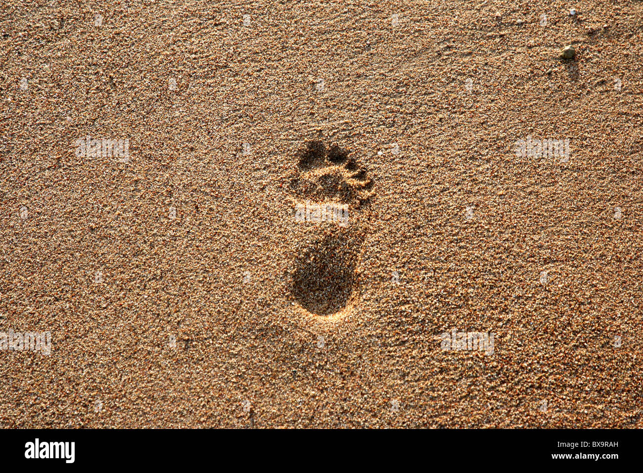 Plage de sable Banque D'Images