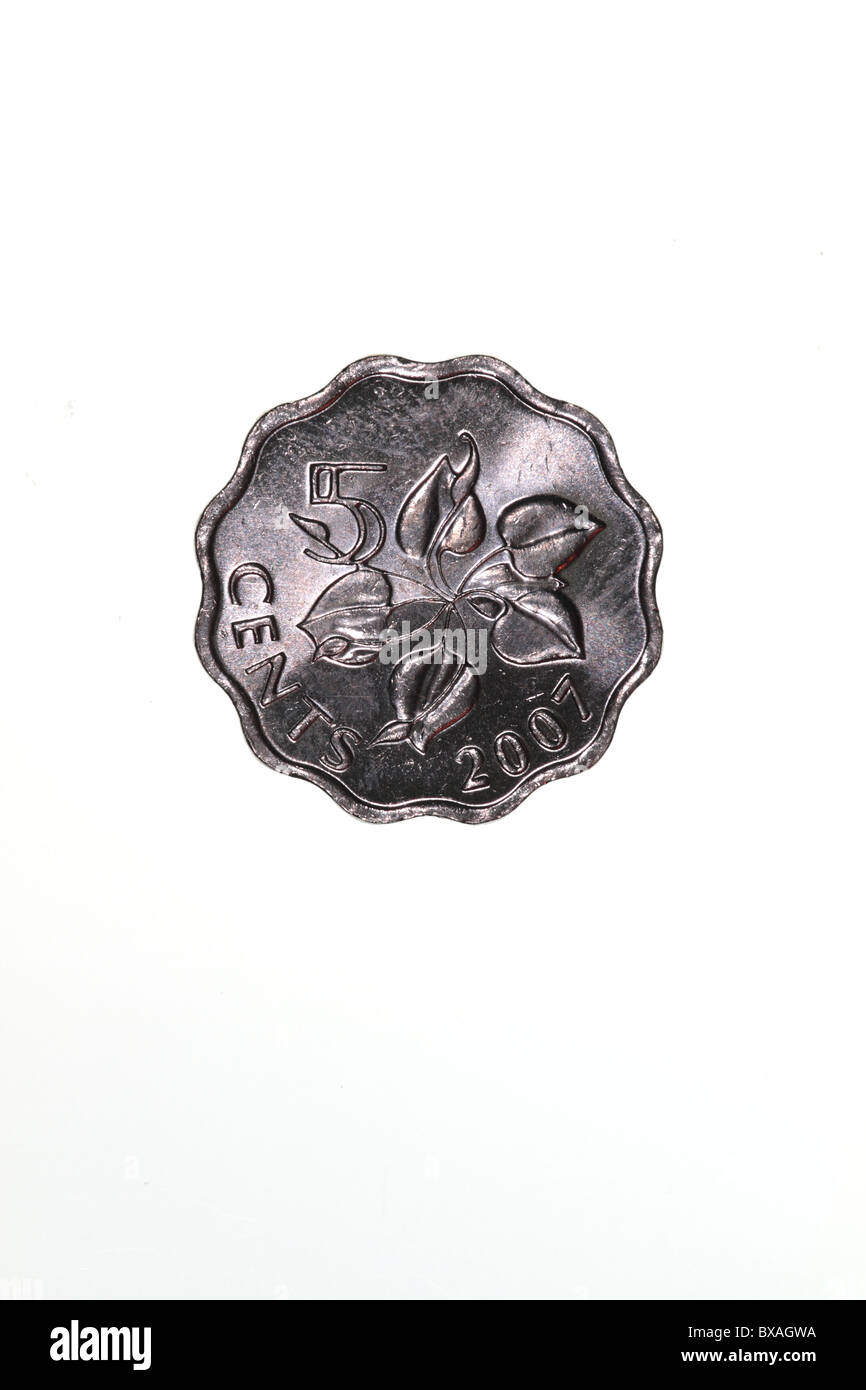 Eswatini 10 cents pièce de monnaie après 1995 conception. L'envers présente l'arum lily. Le Swaziland a été renommé Royaume d'Eswatini en 2018. Banque D'Images