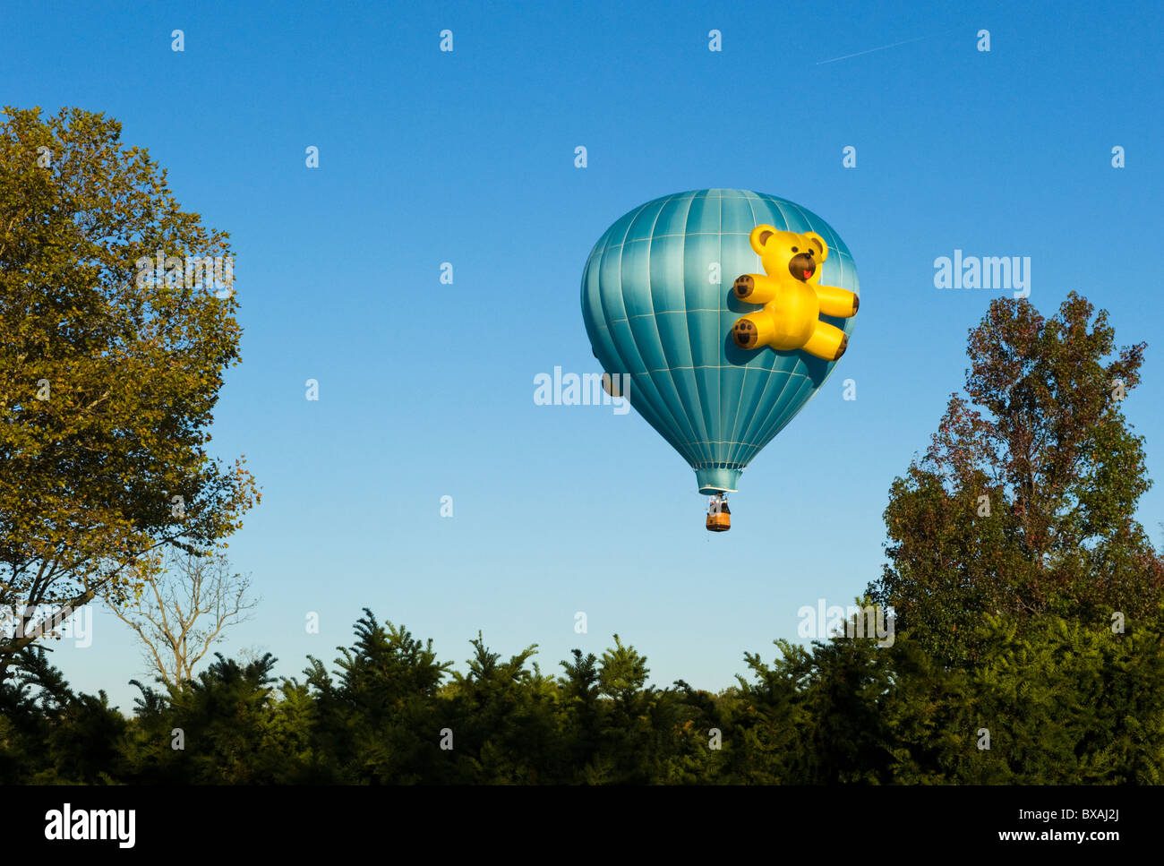 Un ballon à air chaud décoré d'un ours en peluche géant monte sur la vallée de Shenandoah, en Virginie. Banque D'Images