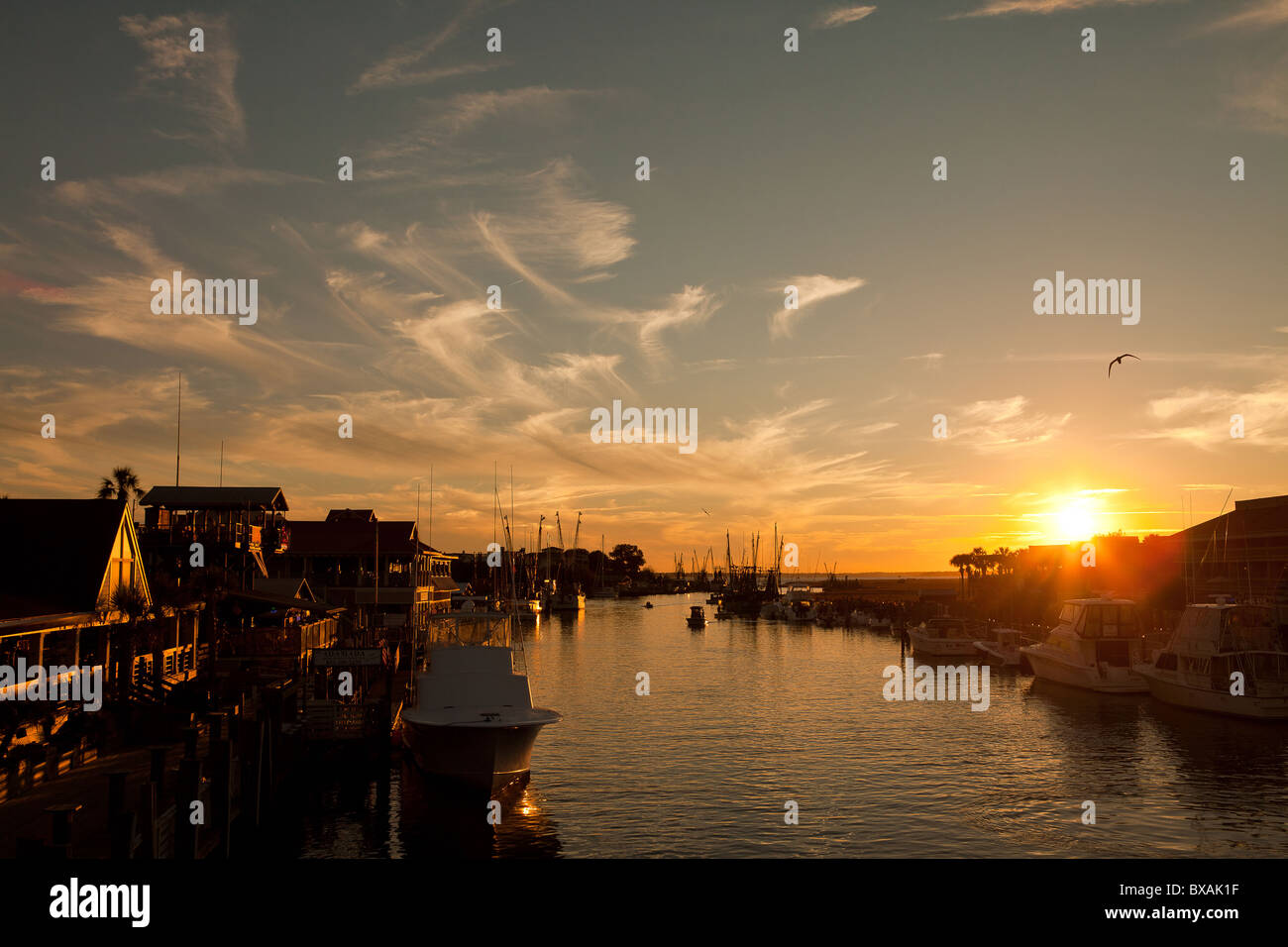 Coucher de soleil sur le bateaux de crevettes sur shem Creek à Mt Pleasant, SC. Banque D'Images