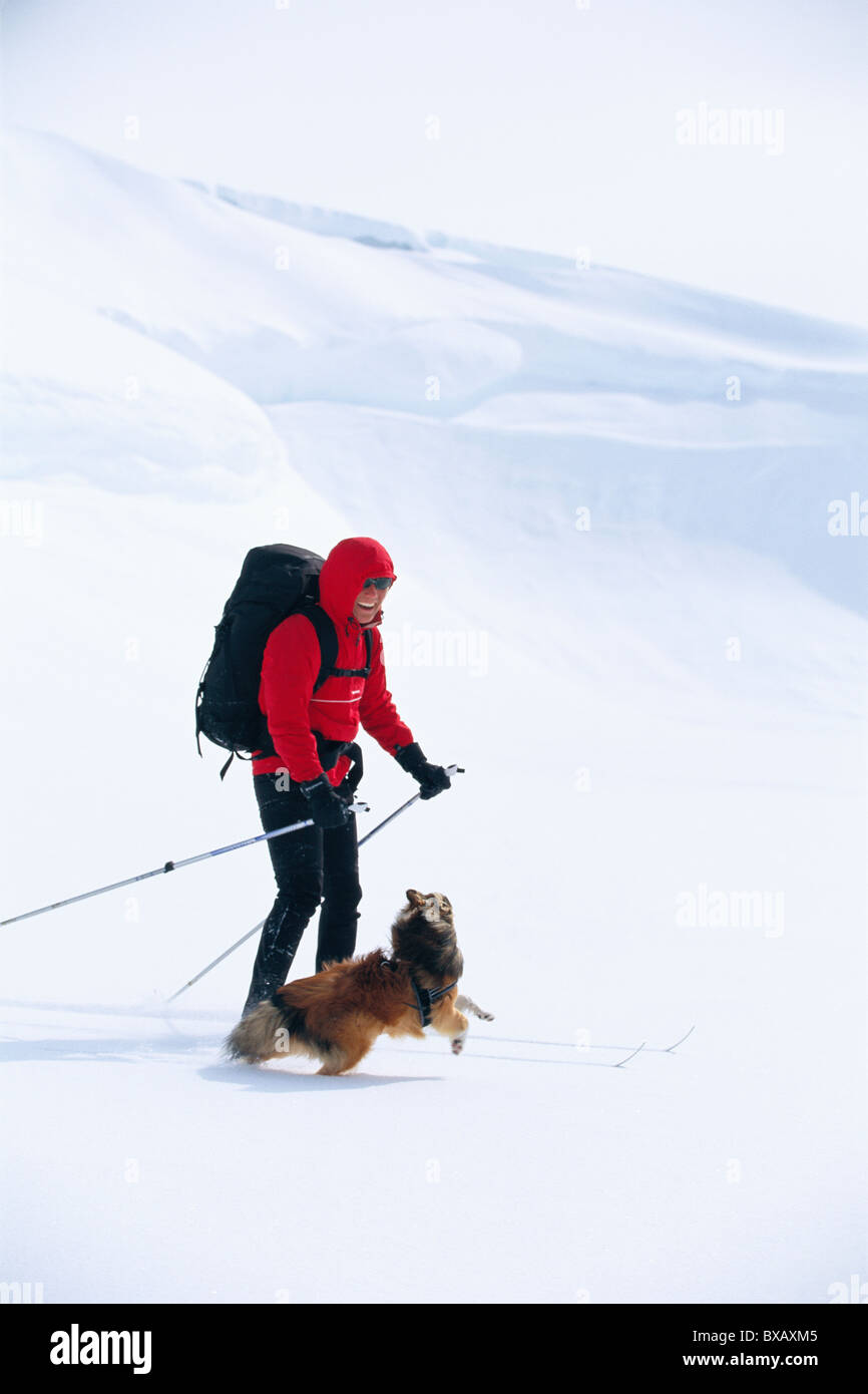 Personne Ski télémark avec chien Banque D'Images