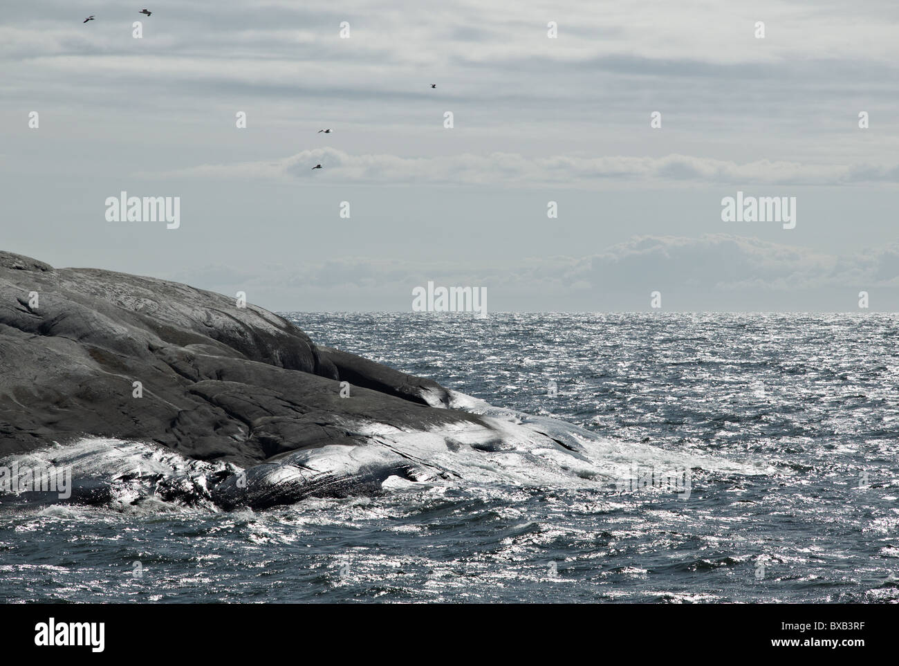 Bord de mer rocheux Banque D'Images